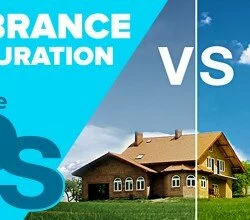 Difference Between Vibrance And Saturation